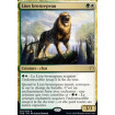 Lion bronzepeau (Bronzehide Lion)
