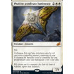 Phalène pondeuse lumineuse (Luminous Broodmoth)