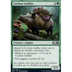 Cochon truffier