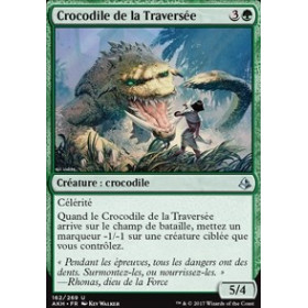 Crocodile de la Traversée