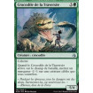Crocodile de la Traversée (Crocodile of the Crossing)