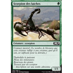 Scorpion des laîches
