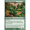 Rempart luxuriant (Overgrown Battlement)
