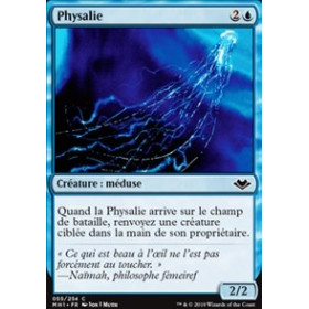 Physalie