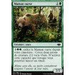 Maman ourse (Mother Bear)