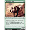 Mangouste agile (Nimble Mongoose)