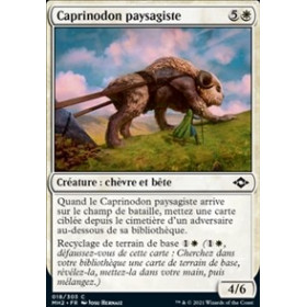 Caprinodon paysagiste