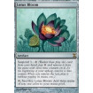 Floraison de lotus (Lotus Bloom)