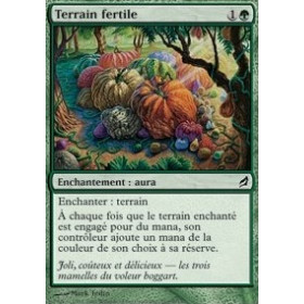 Terrain fertile