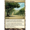 Verger exotique (Exotic Orchard)