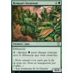 Rempart luxuriant (Overgrown Battlement)