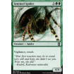 Araignée sentinelle (Sentinel Spider)