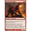 Couguar cendredent (Chartooth Cougar)