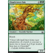 Chêne cimenuage (Cloudcrown Oak)