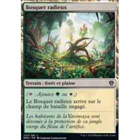 Bosquet radieux (Radiant Grove)