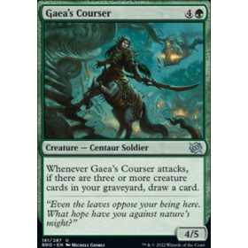 Coursière de Gaia (Gaea's Courser)