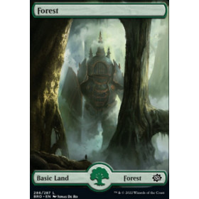 Forêt (Forest)