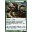 Hydre omnivore (Hydra Omnivore)