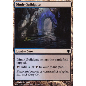 Porte de la guilde de Dimir (Dimir Guildgate)