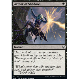 Armure des ombres (Armor of Shadows)