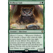 Hibourson (Owlbear Cub)