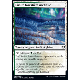 Image de la carte Limite forestière arctique de l’édition Kaldheim pour le jeu de cartes à collectionner Magic the Gathering.