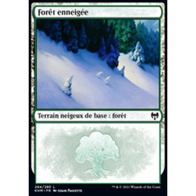 Image de la carte Forêt enneigée de l’édition Kaldheim pour le jeu de cartes à collectionner Magic the Gathering.