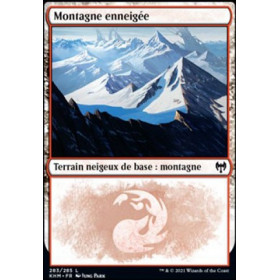 Image de la carte Montagne enneigée de l’édition Kaldheim pour le jeu de cartes à collectionner Magic the Gathering.
