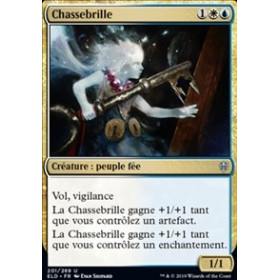 Chassebrille (Shinechaser)