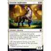 Licorne captivante (Captivating Unicorn)